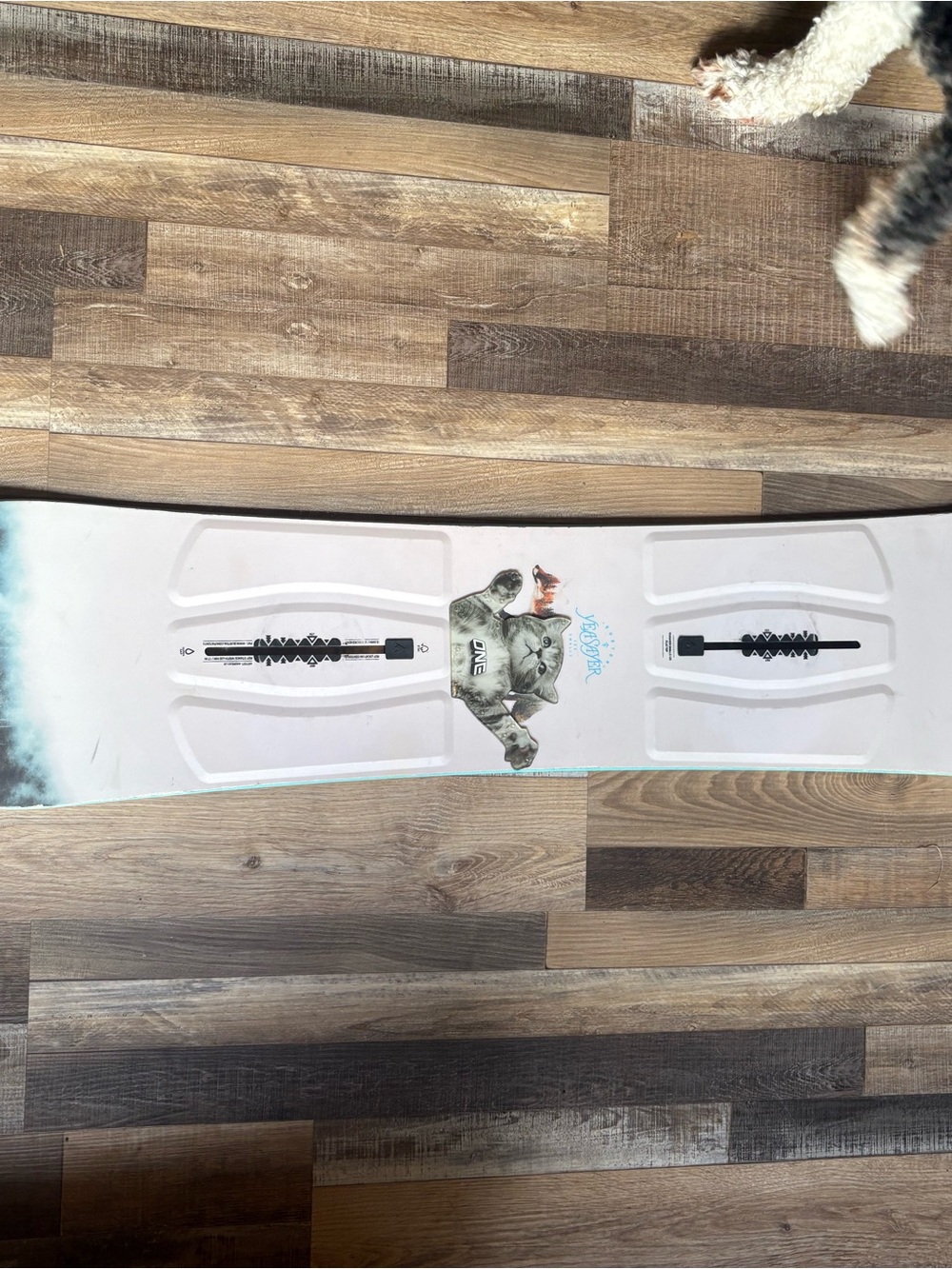 Burton Yeasayer Smalls 125 cm is a playful, and forgiving youth/girls snowboard.